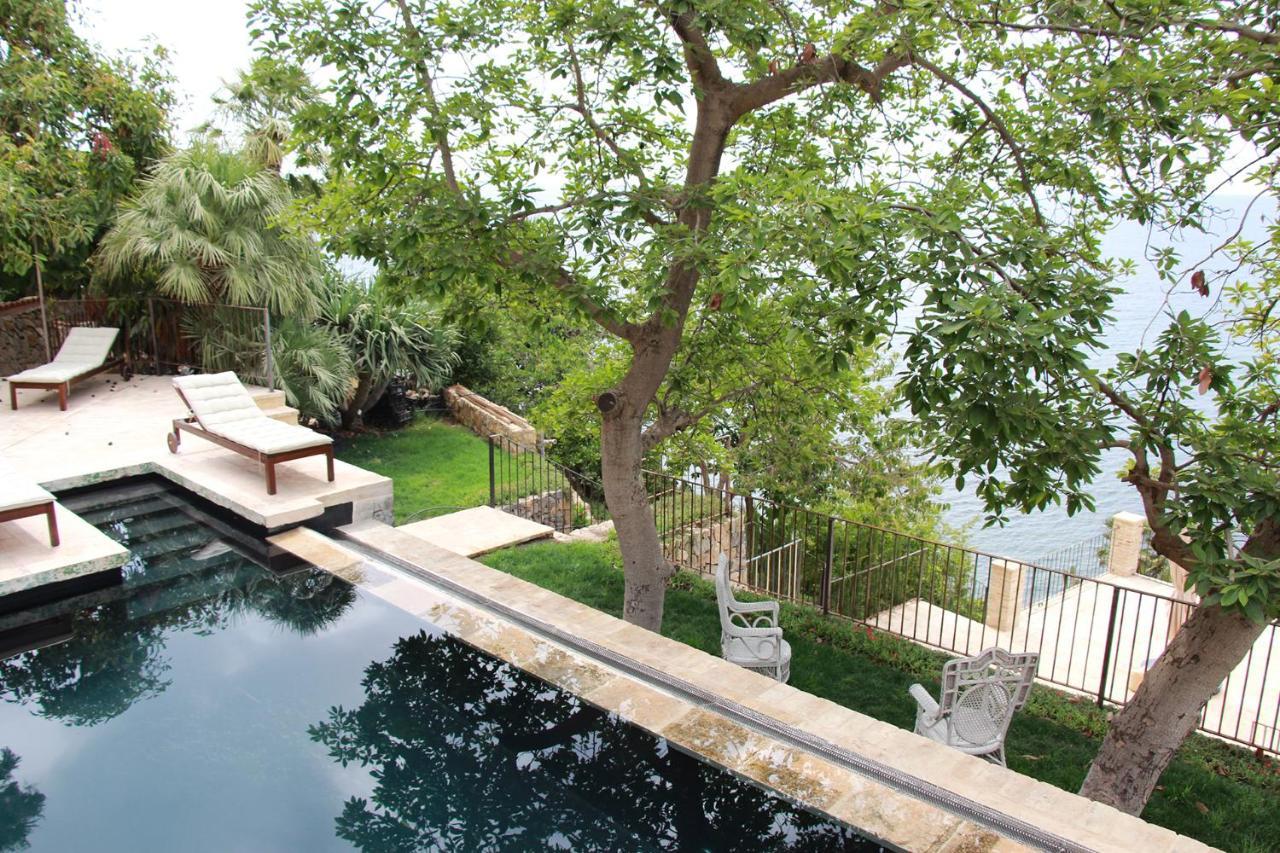 El Jardin Botanico Villa Luz Altea Zewnętrze zdjęcie