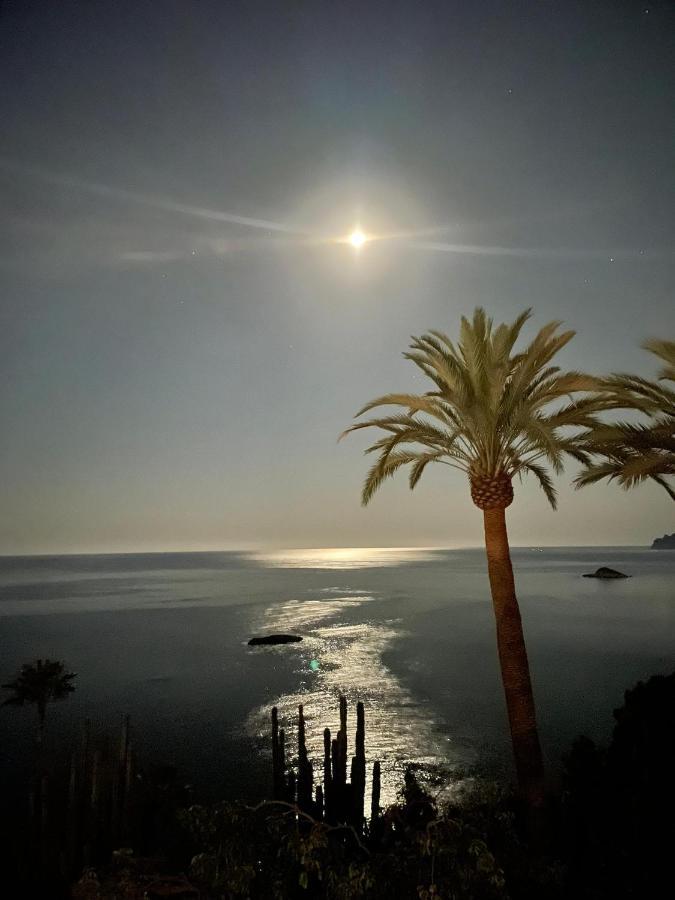 El Jardin Botanico Villa Luz Altea Zewnętrze zdjęcie