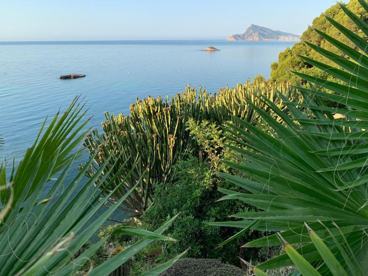 El Jardin Botanico Villa Luz Altea Zewnętrze zdjęcie