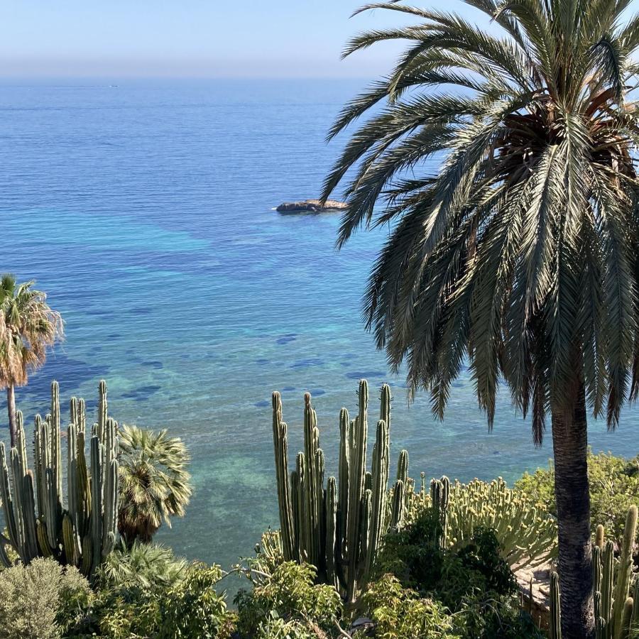 El Jardin Botanico Villa Luz Altea Zewnętrze zdjęcie